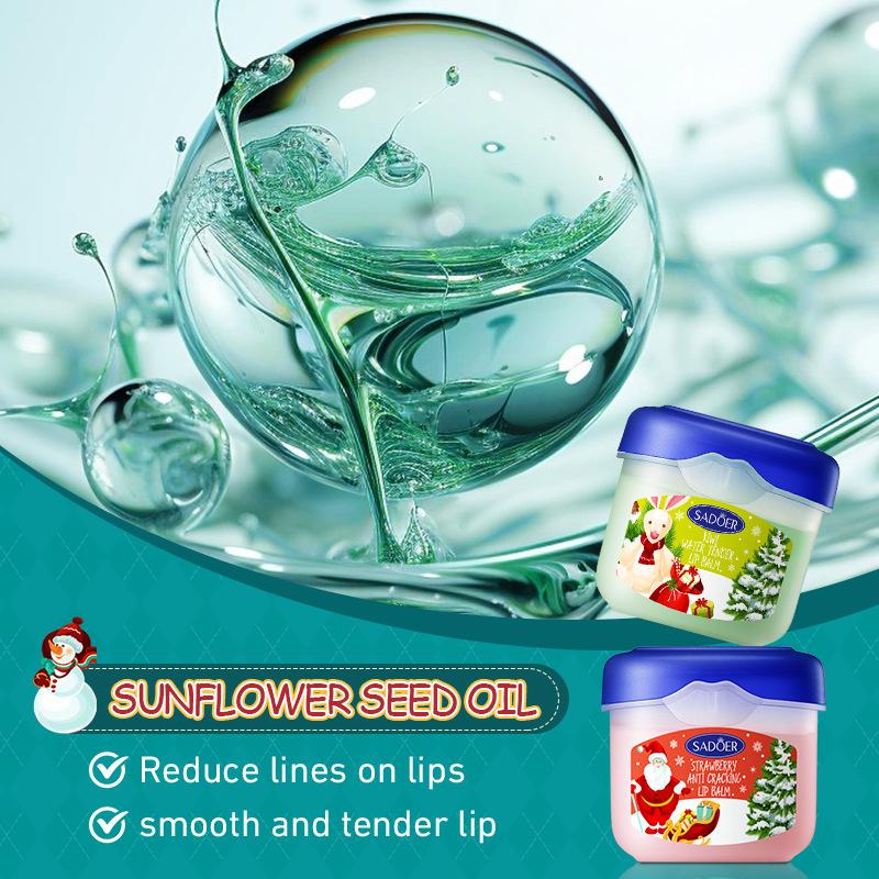 3/4/5/6/10개/세트 크리스마스 립밤 선물 세트  - Skincare Xmas Sets 리뷰 및 가격